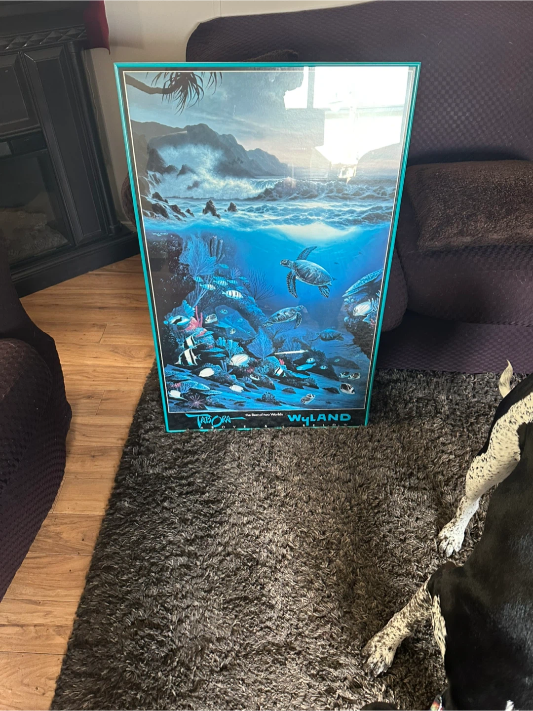 Wyland pictures - photo 3