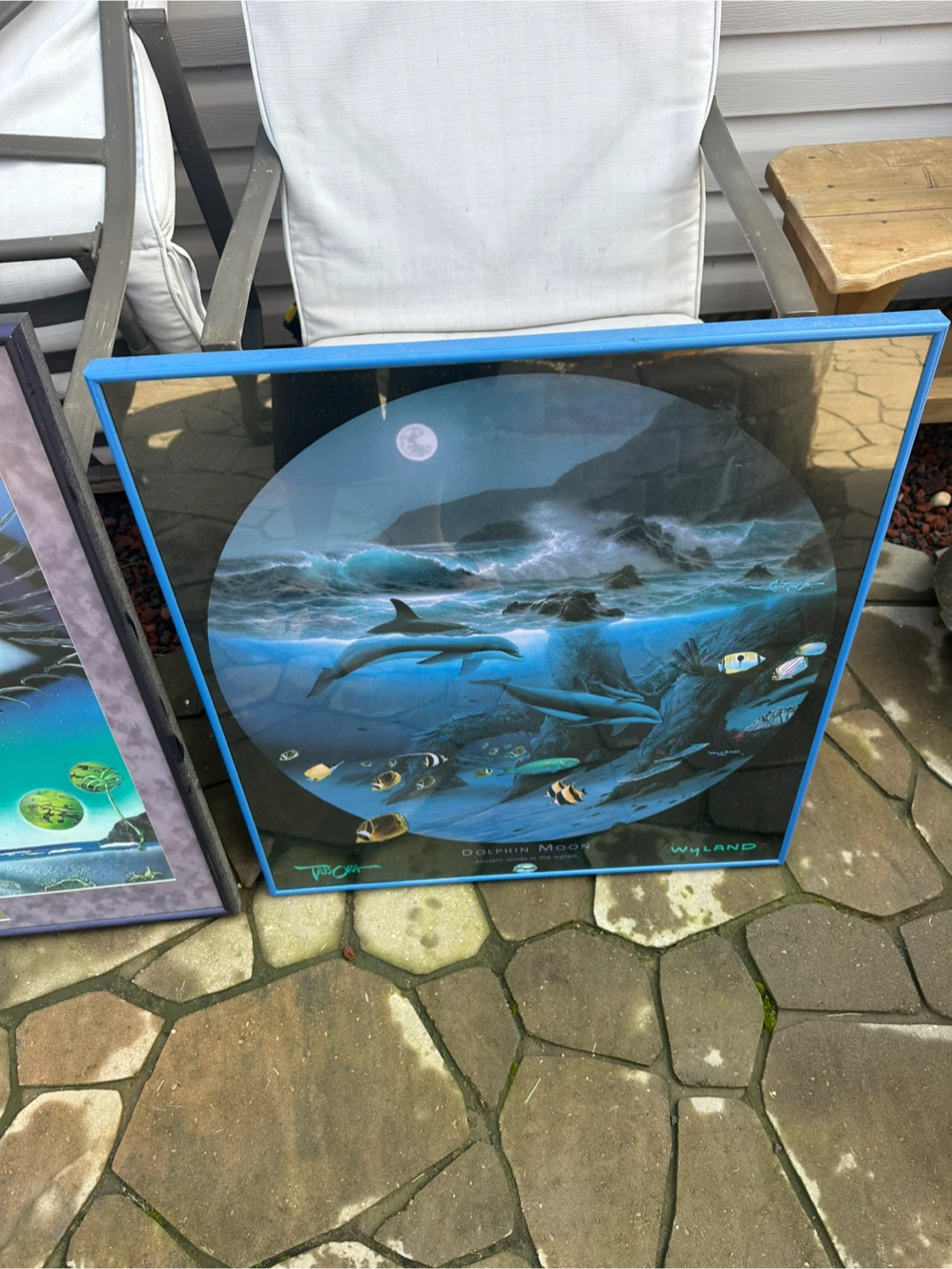 Wyland pictures - photo 4
