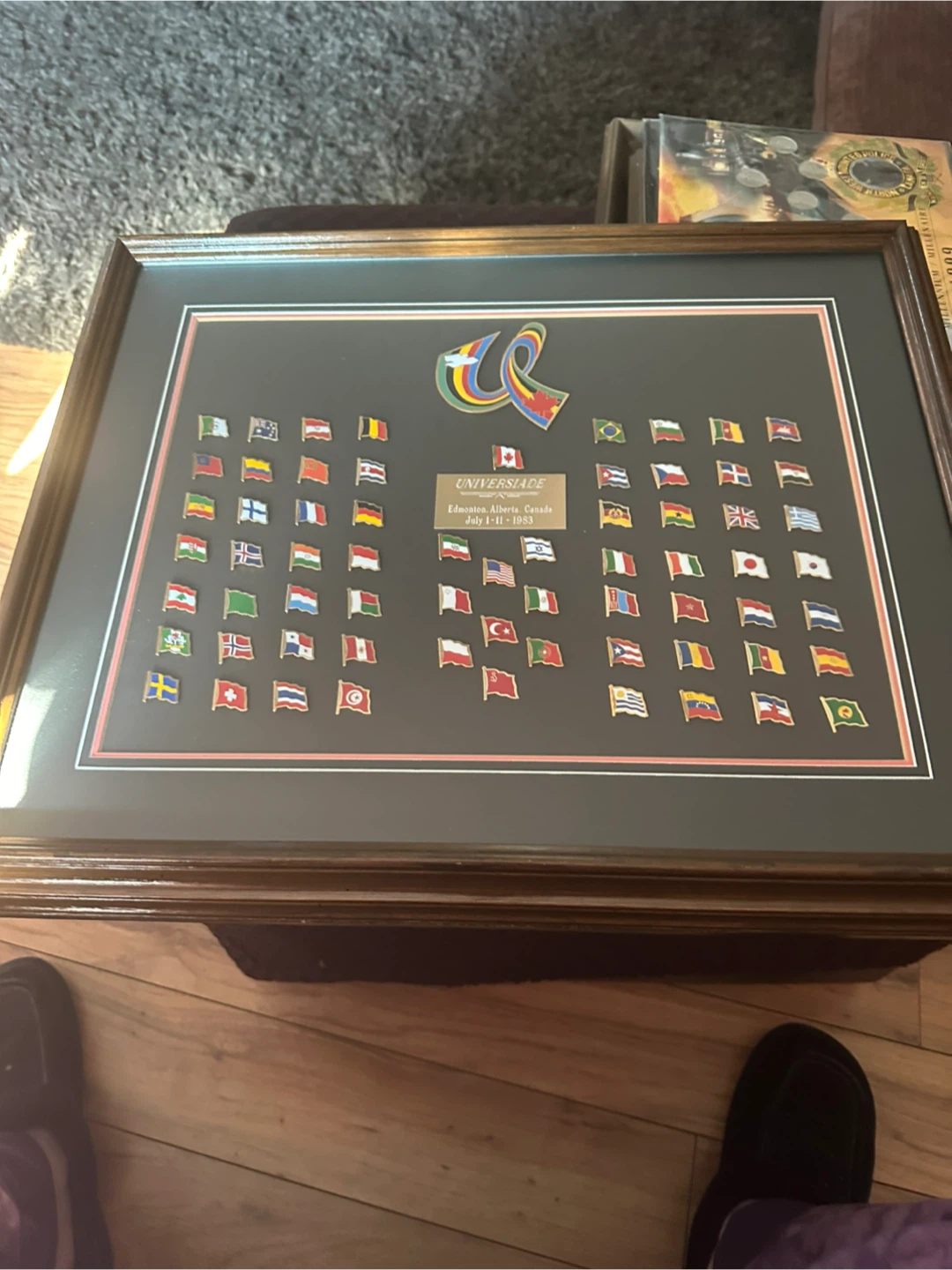 Universiade Edmonton Alberta Canada 1983 Framed Flag Art - photo 2