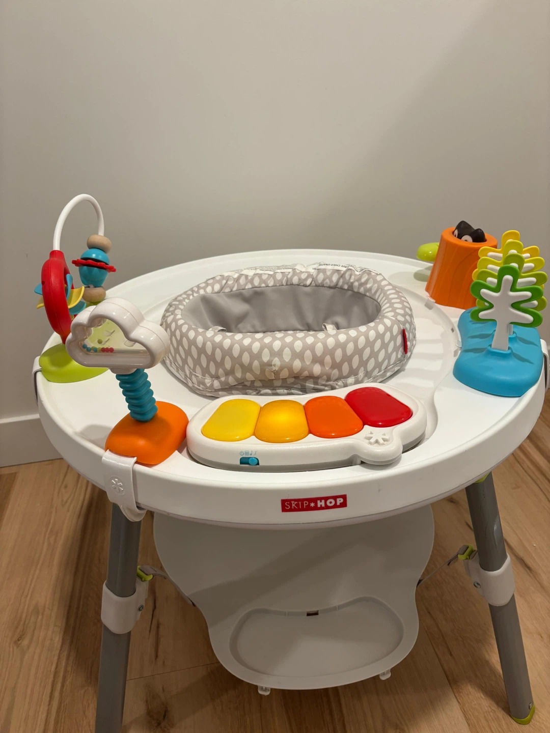 Skip Hop Baby Activity Center