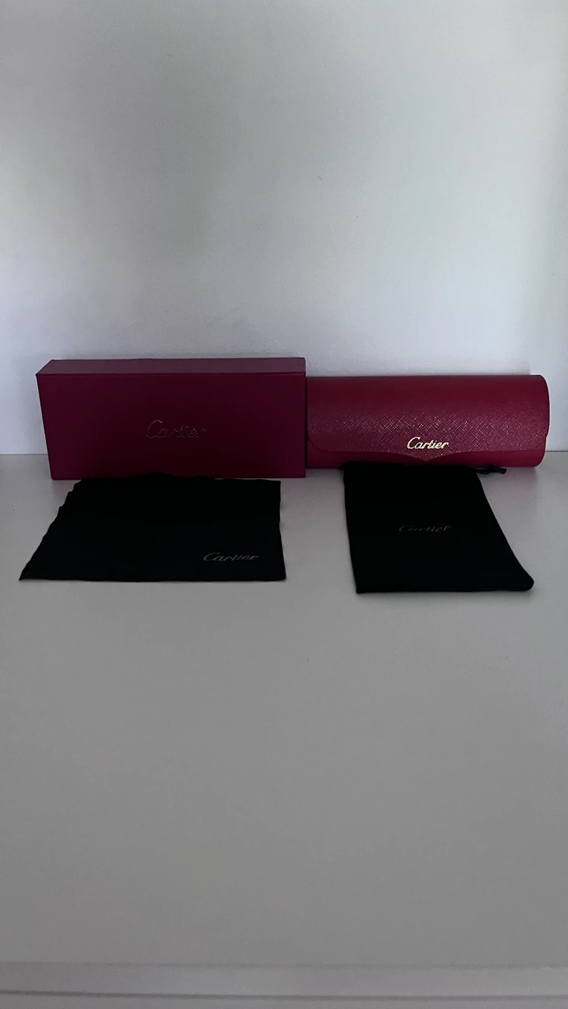 CARTIER Sunglasses (White Acetate / Gold) - photo 5