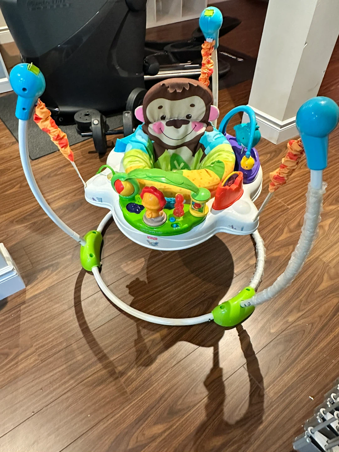 Jungle gym jumper delivery available