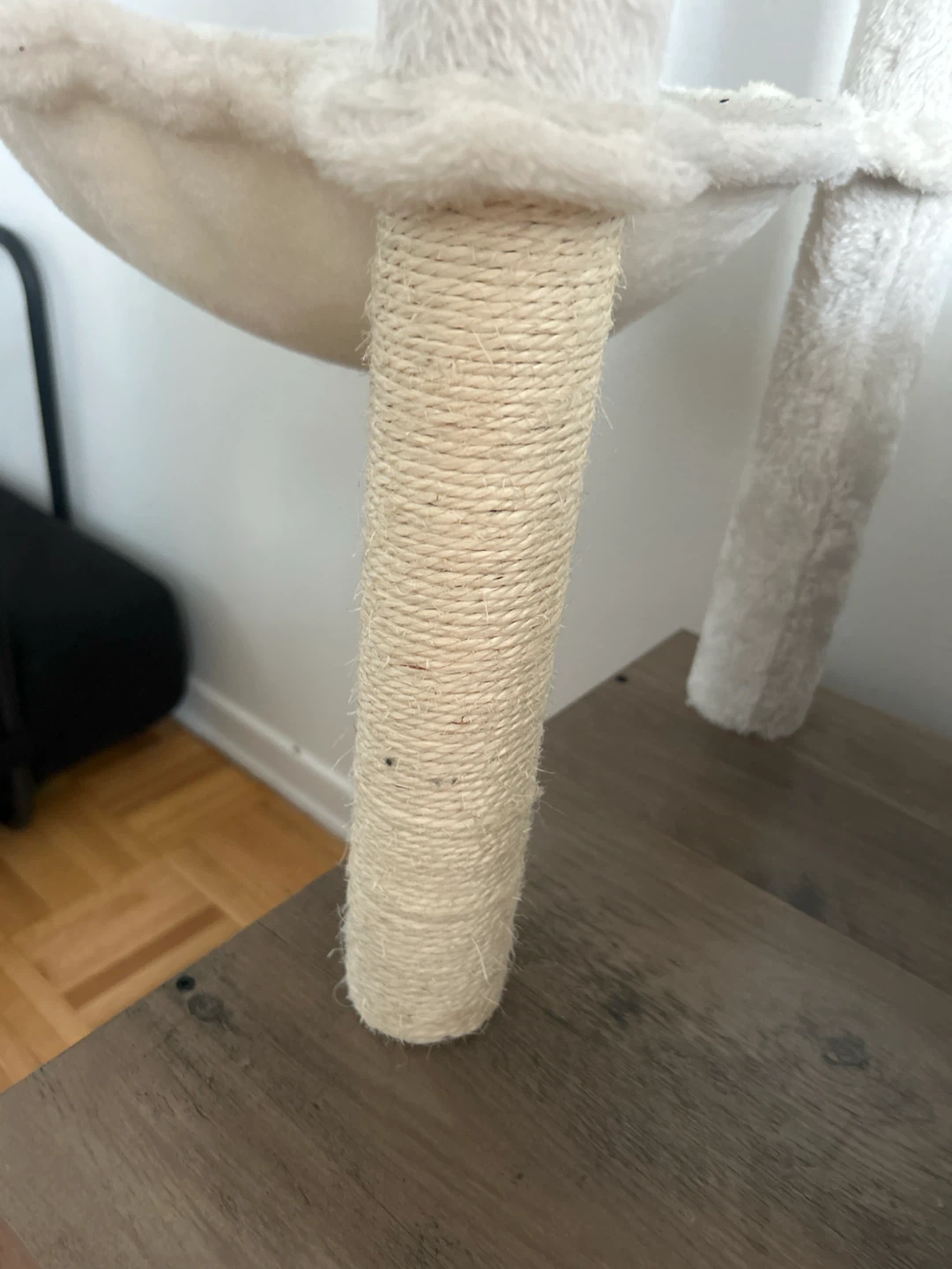 Multi-Level Cat Tree with Condo - photo 3