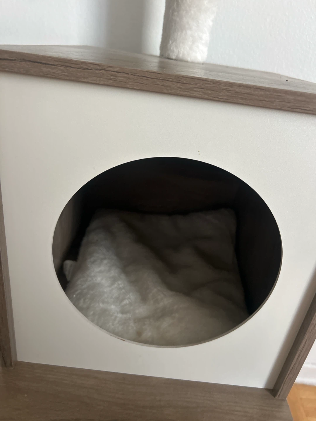 Multi-Level Cat Tree with Condo - photo 4