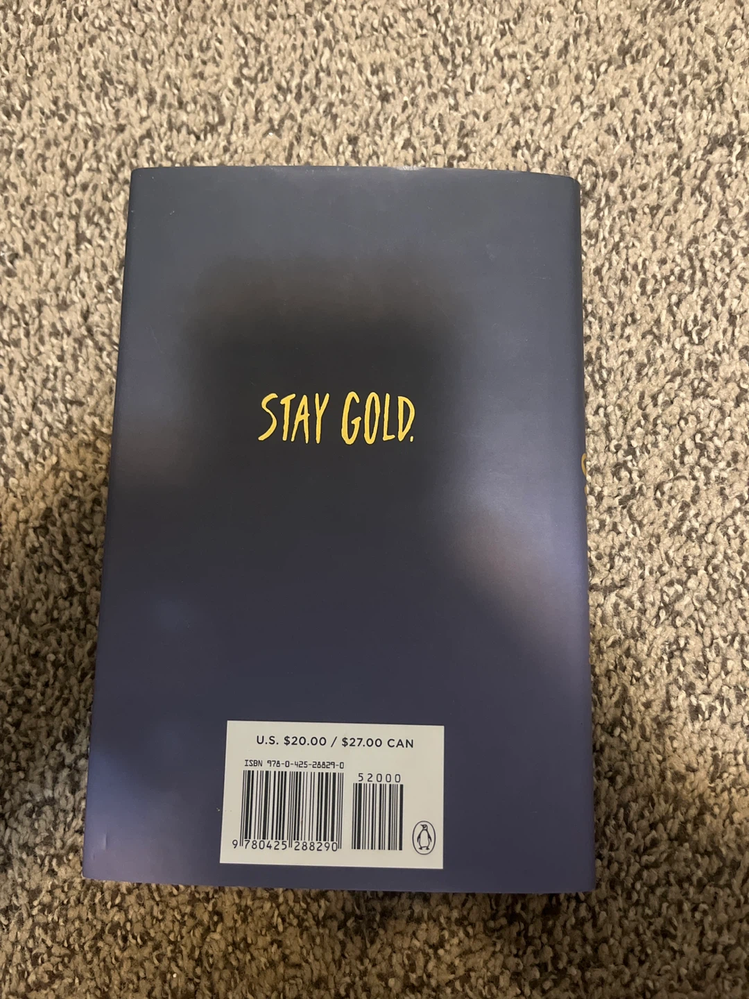 The Outsiders 50th Anniversary Edition by S.E. Hinton - photo 2