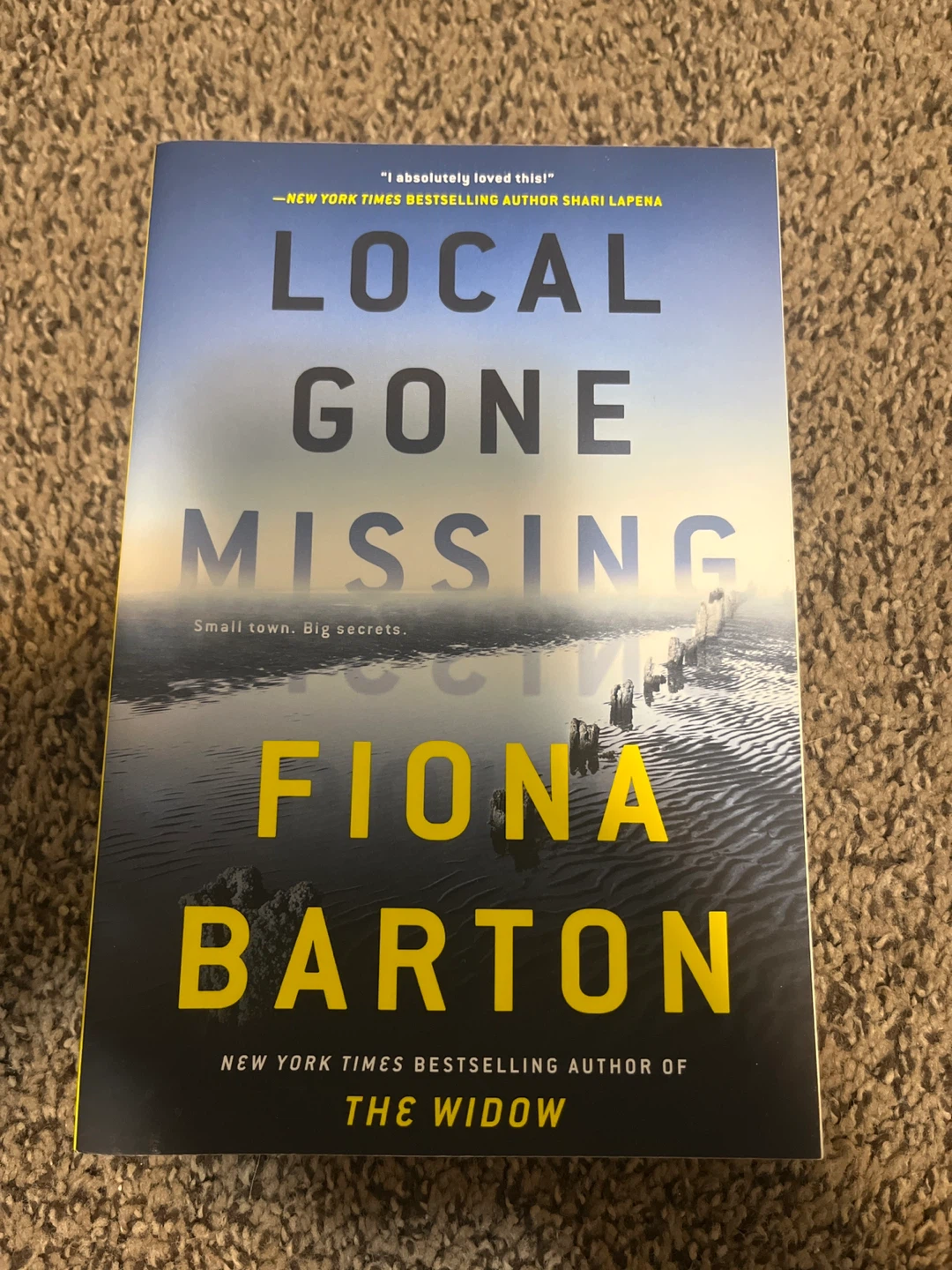Local Gone Missing by Fiona Barton Paperback Book