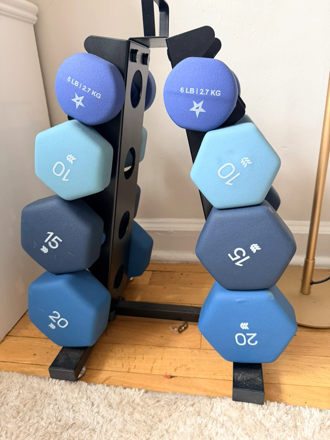 All in Motion Dumbbell Set with Rack