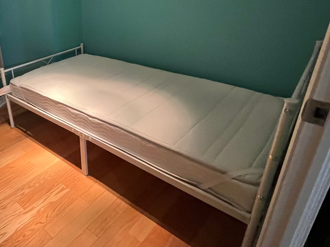 Twin Mattress (pick up only)