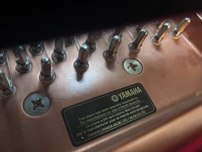 Yamaha Grand Piano C2 - photo 2