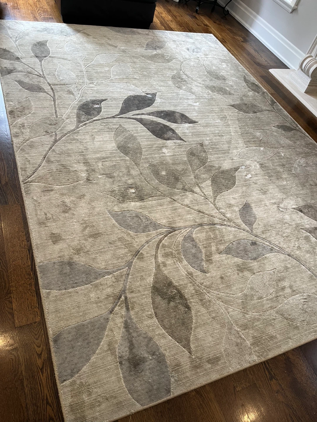 Large Area Rug