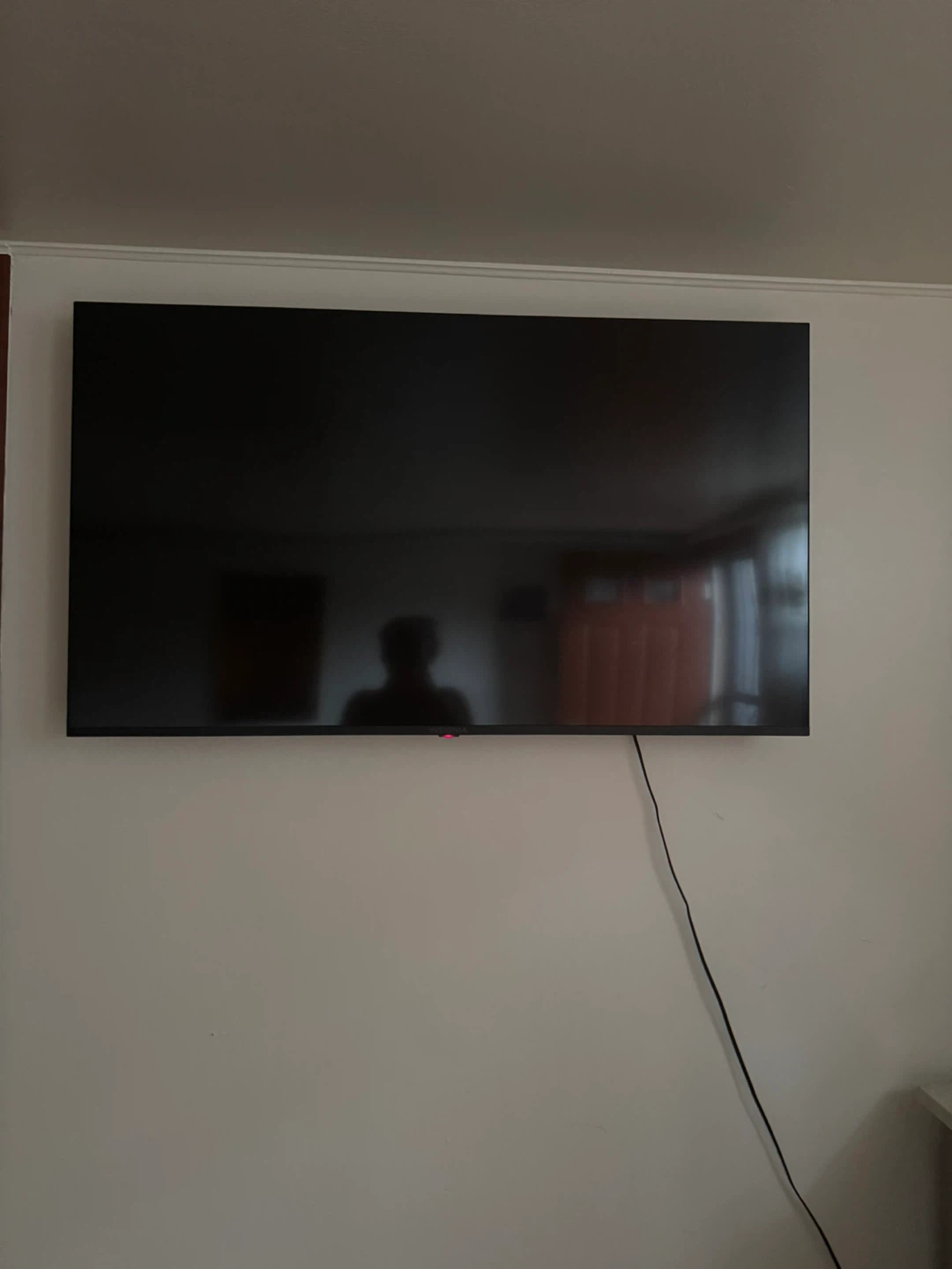 Insignia Flat Screen TV