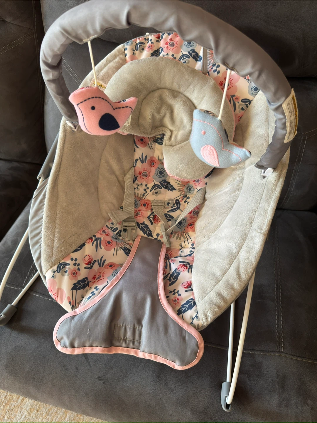 Baby Rocker with Bird Toys
