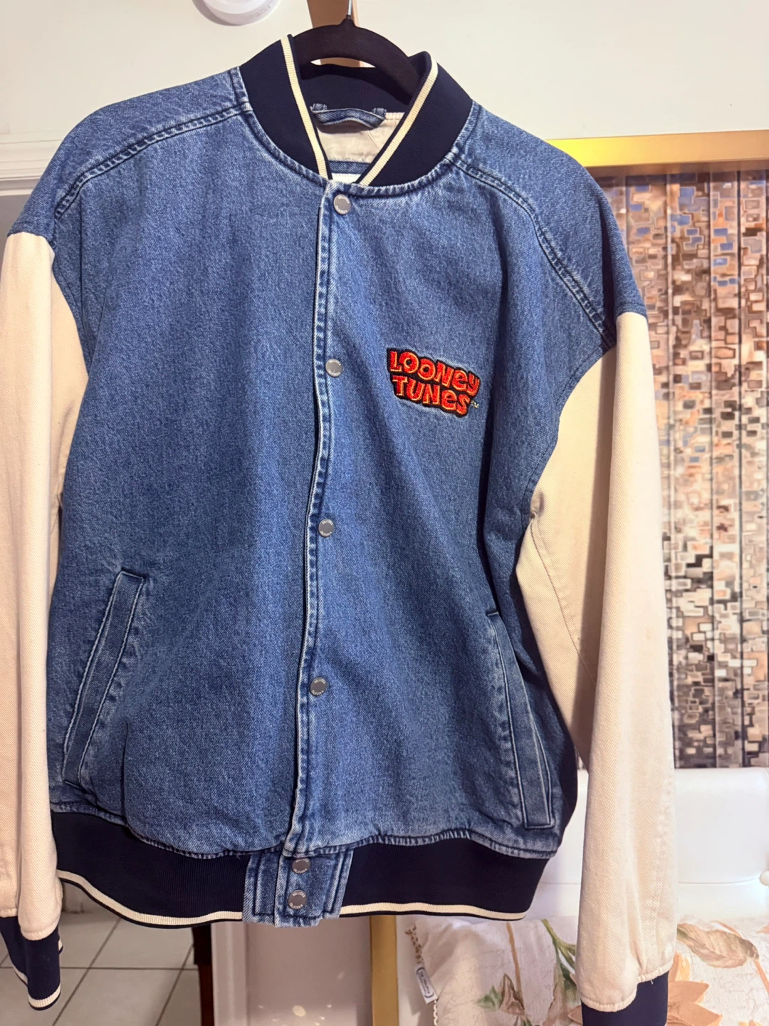 Hollister Looney Tunes Varsity Jacket