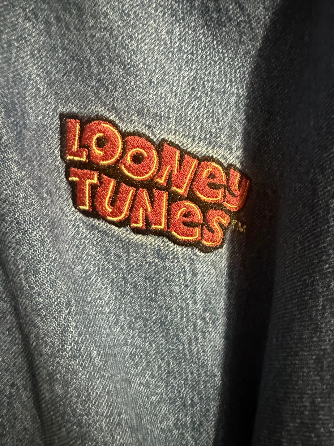 Hollister Looney Tunes Varsity Jacket - photo 2