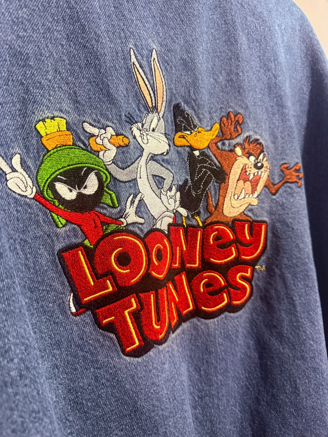 Hollister Looney Tunes Varsity Jacket - photo 4