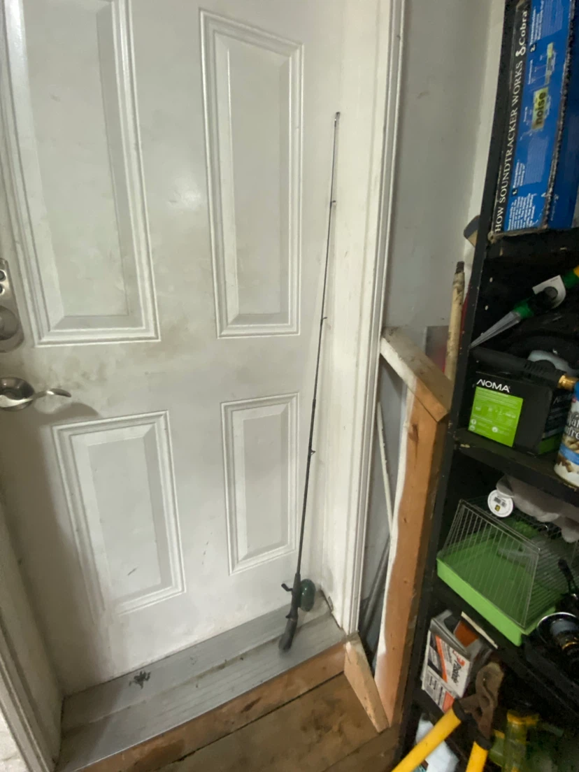 Fishing Rod and Reel