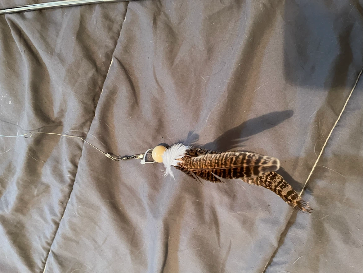 Super Long Cat Wand - photo 3