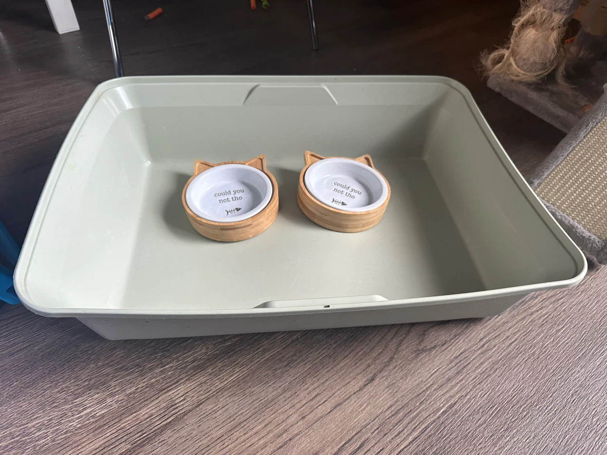 Exquisicat litter tray and two cat bowls