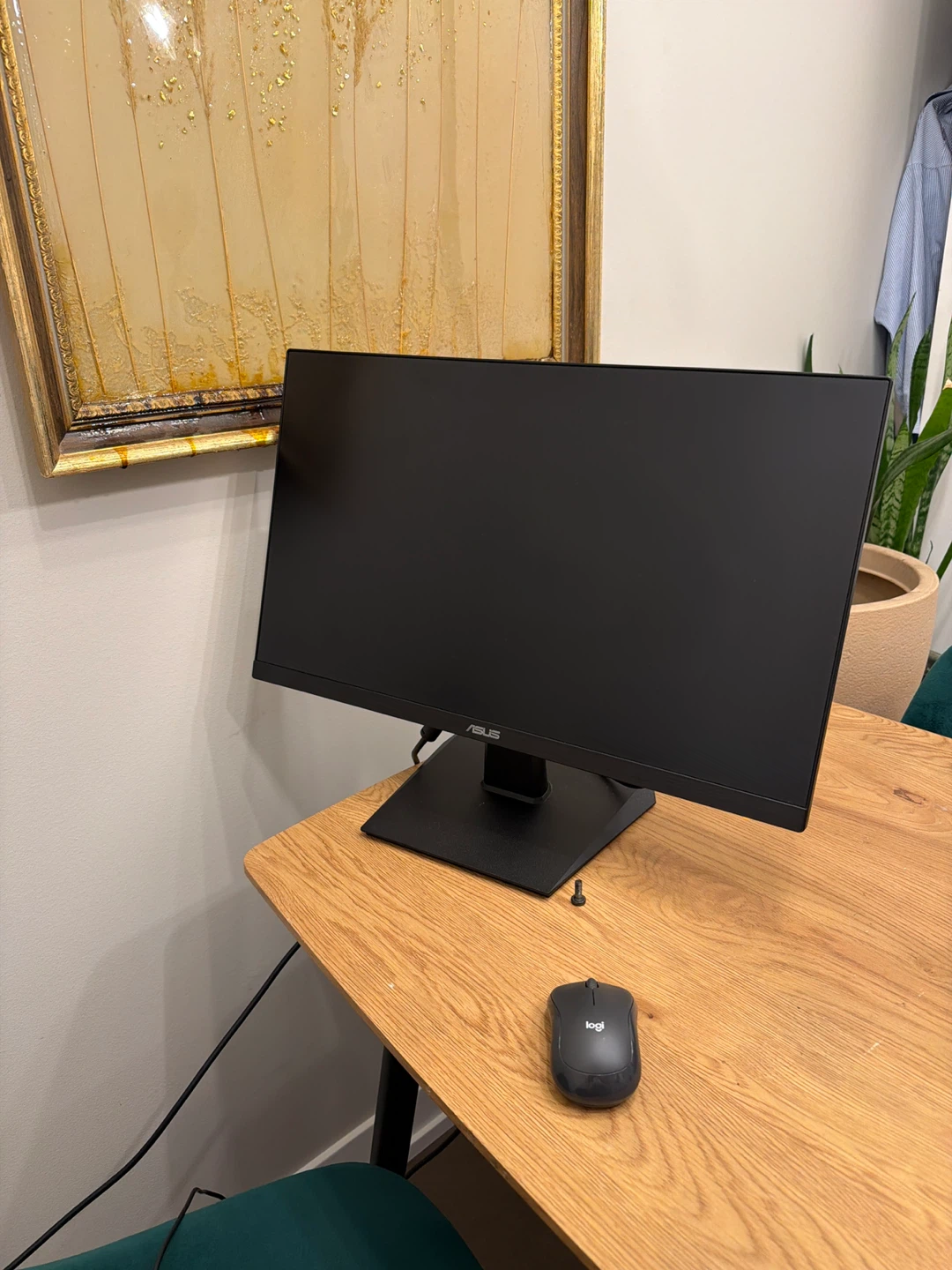 ASUS Monitor