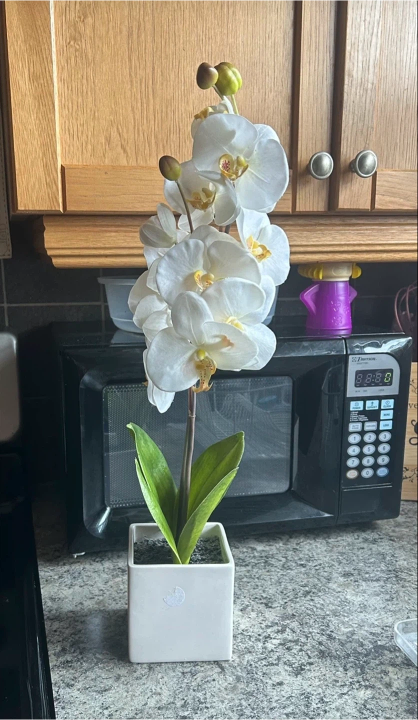 White Artificial Orchid Plant