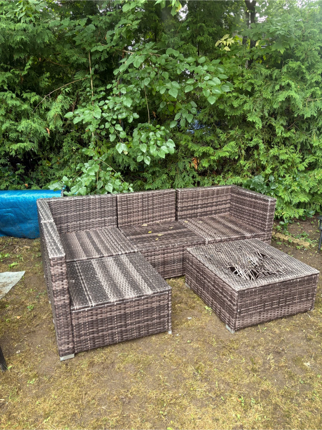 Rattan Sectional Sofa Set with Coffee Table