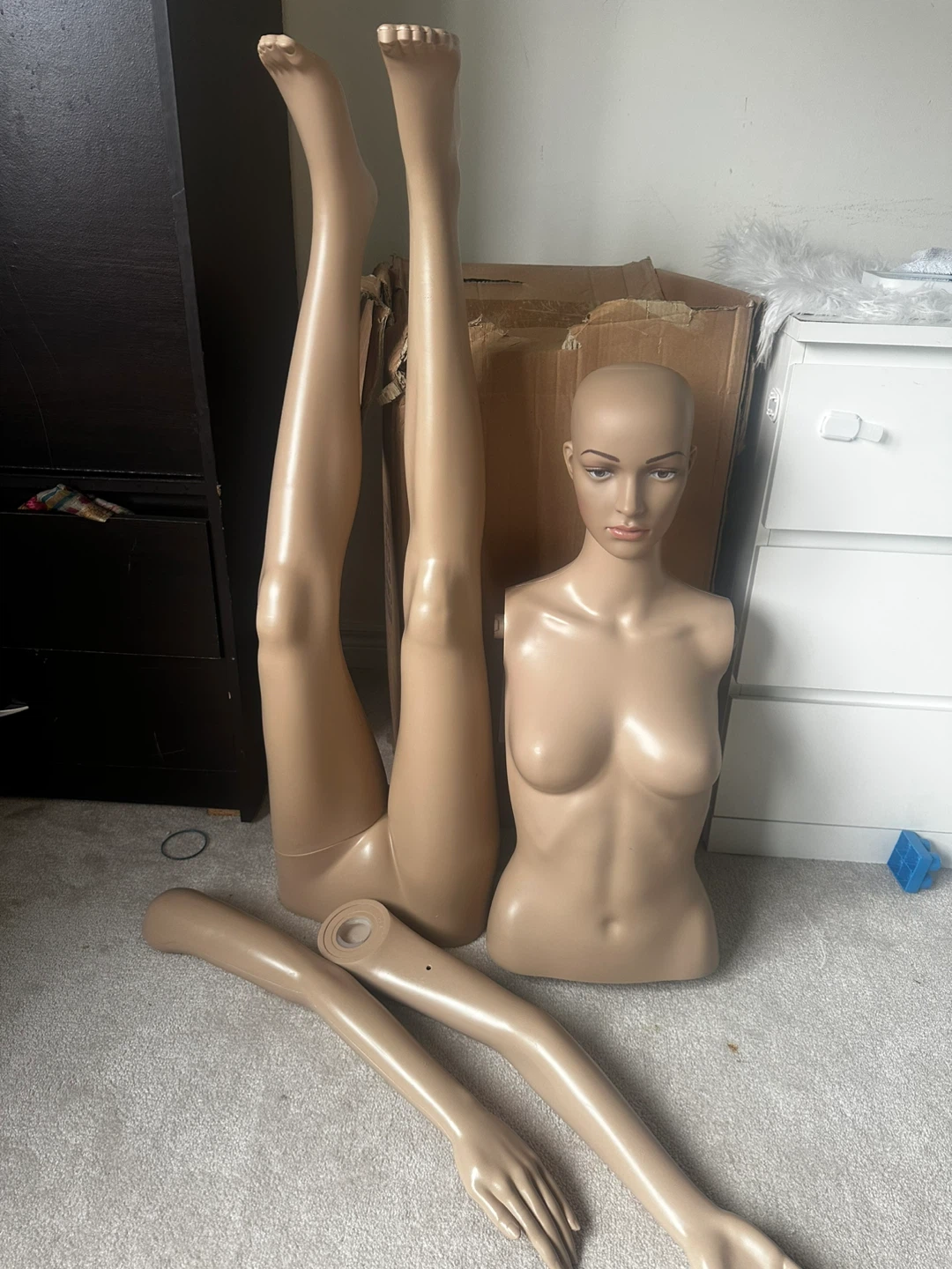 Mannequin Torso, Legs, and Arms Set - photo 3