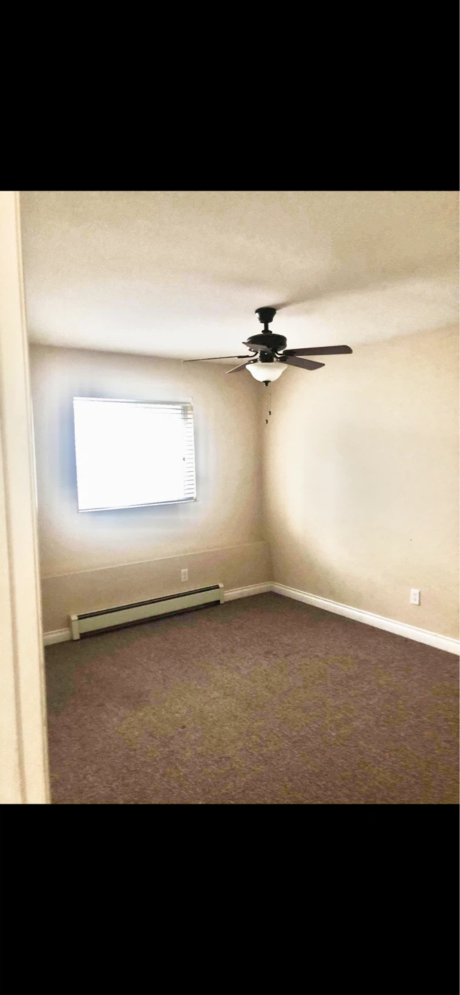 2 bedroom basement for rent UFV - photo 5