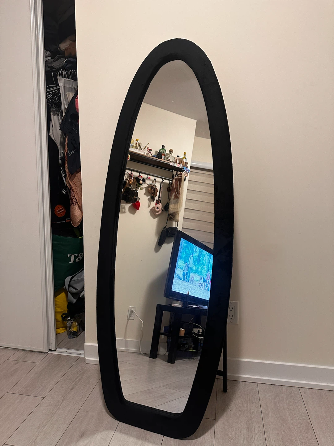 Oval Full Length Mirror with Black Velvet Frame - photo 2