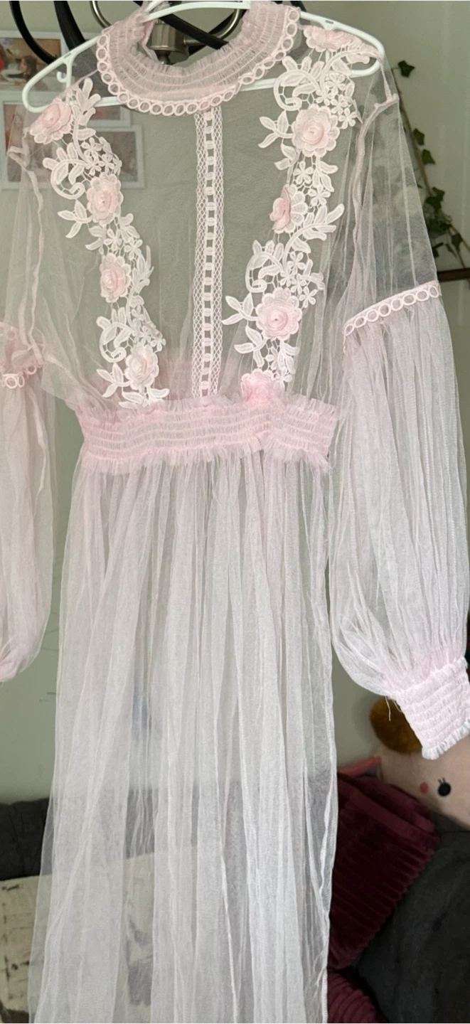 Pink Sheer Lace Maxi Dress