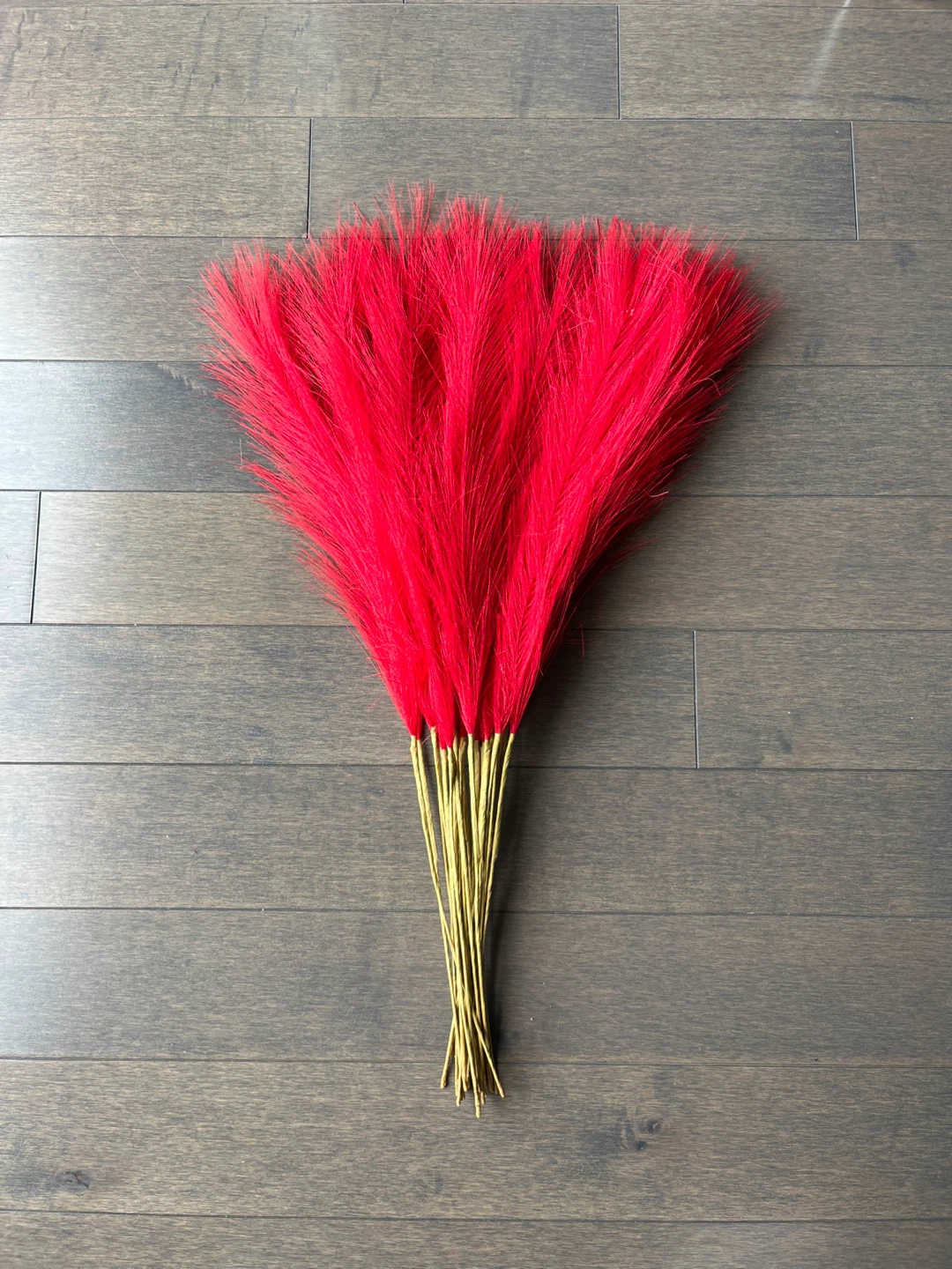 22pc Red Pampas Grass