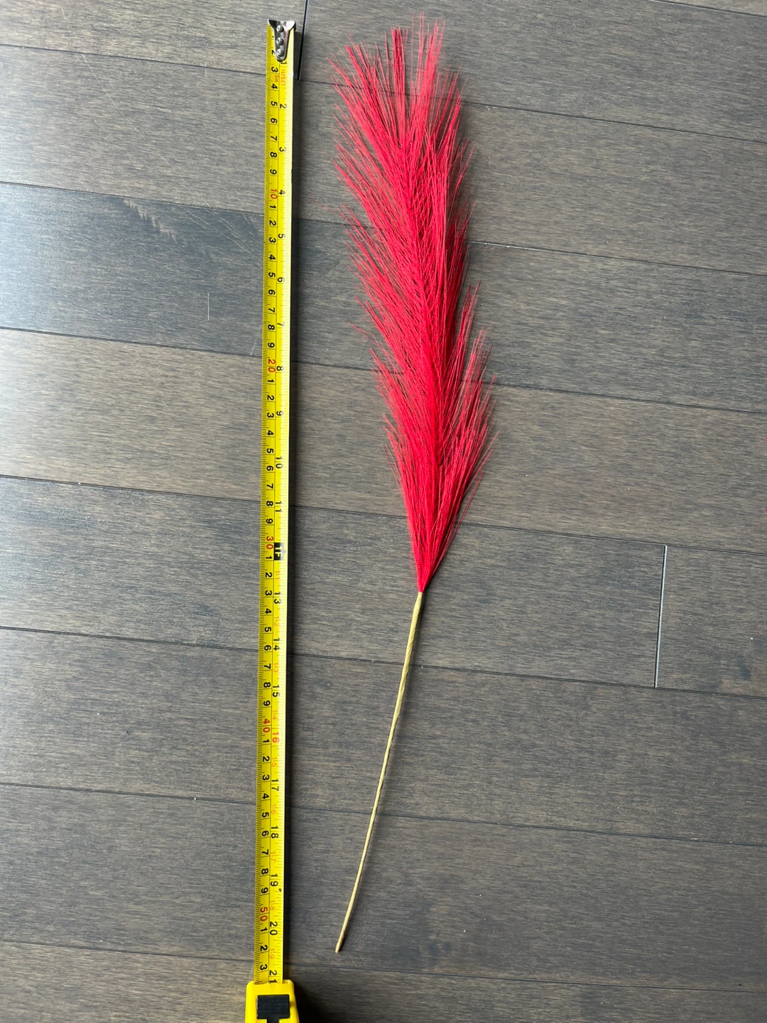 22pc Red Pampas Grass - photo 2