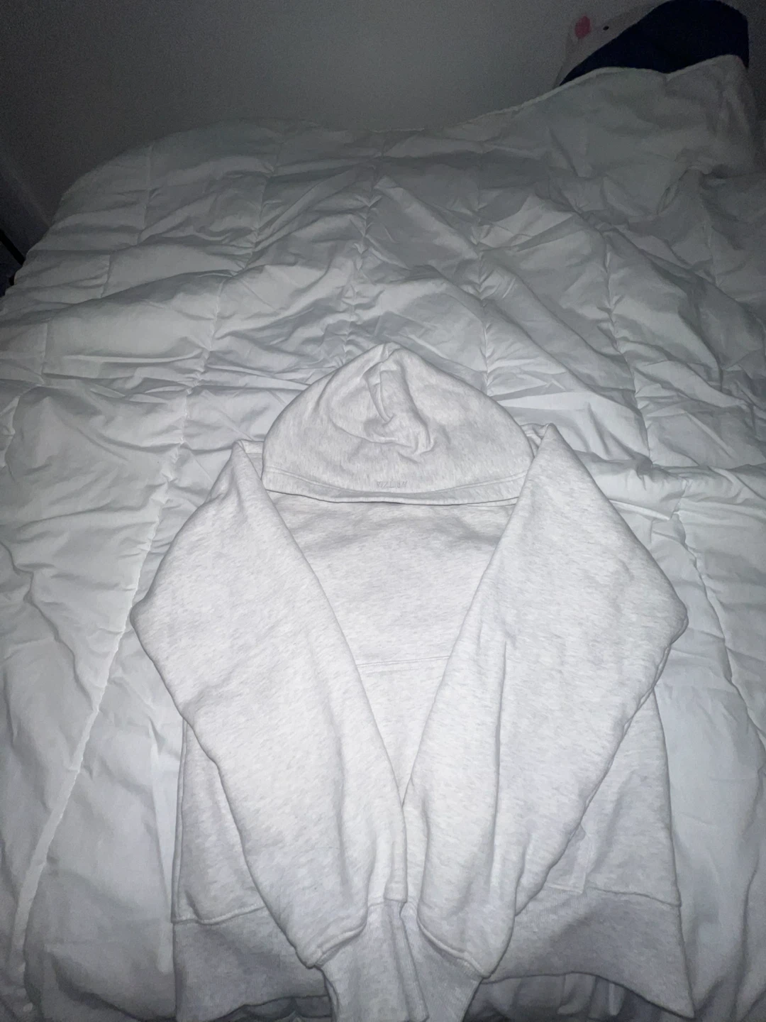 Aritzia Sweatfleece Hoodie - photo 2