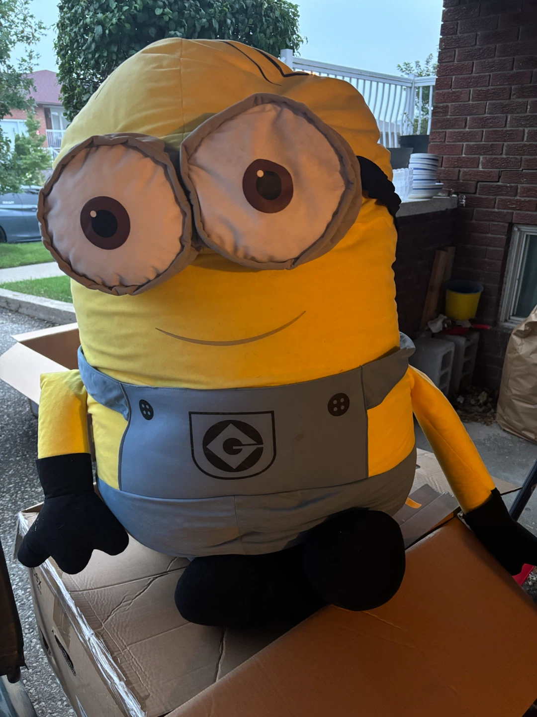 Large Minion Plush Toy