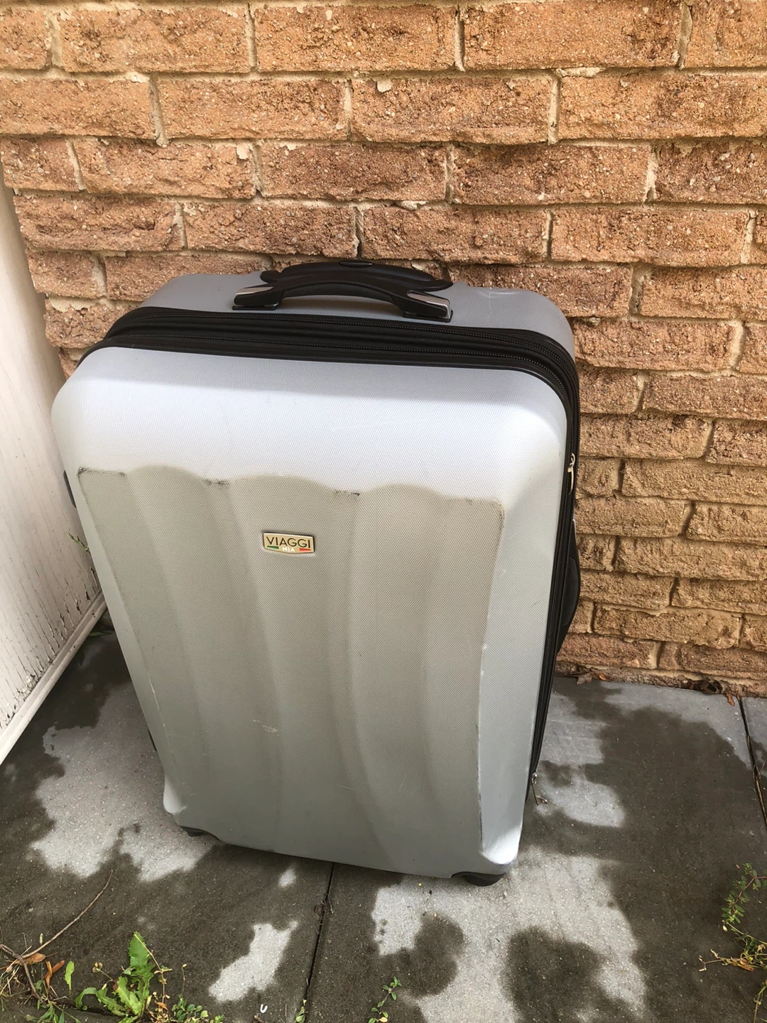 VIAGGI Silver Hardside Spinner Suitcase