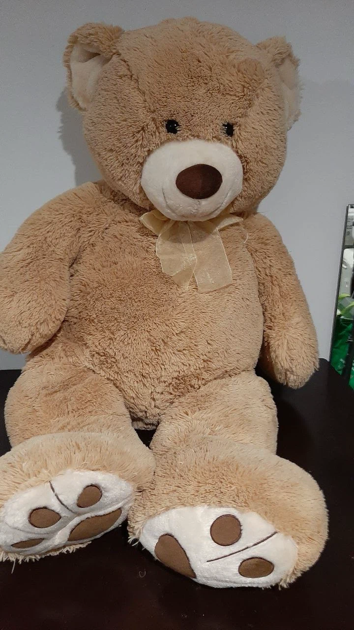 Large Brown Teddy Bear