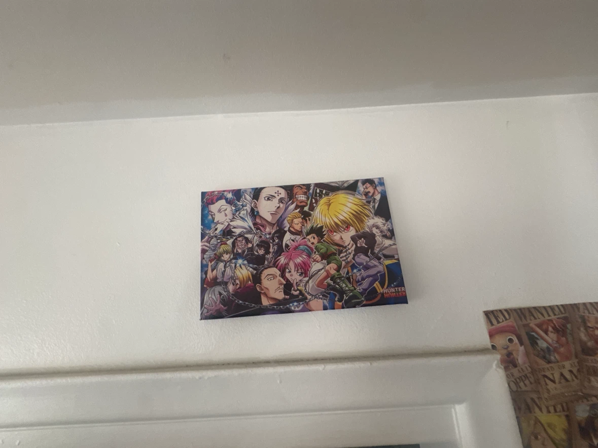 Hunter x Hunter wall canvas