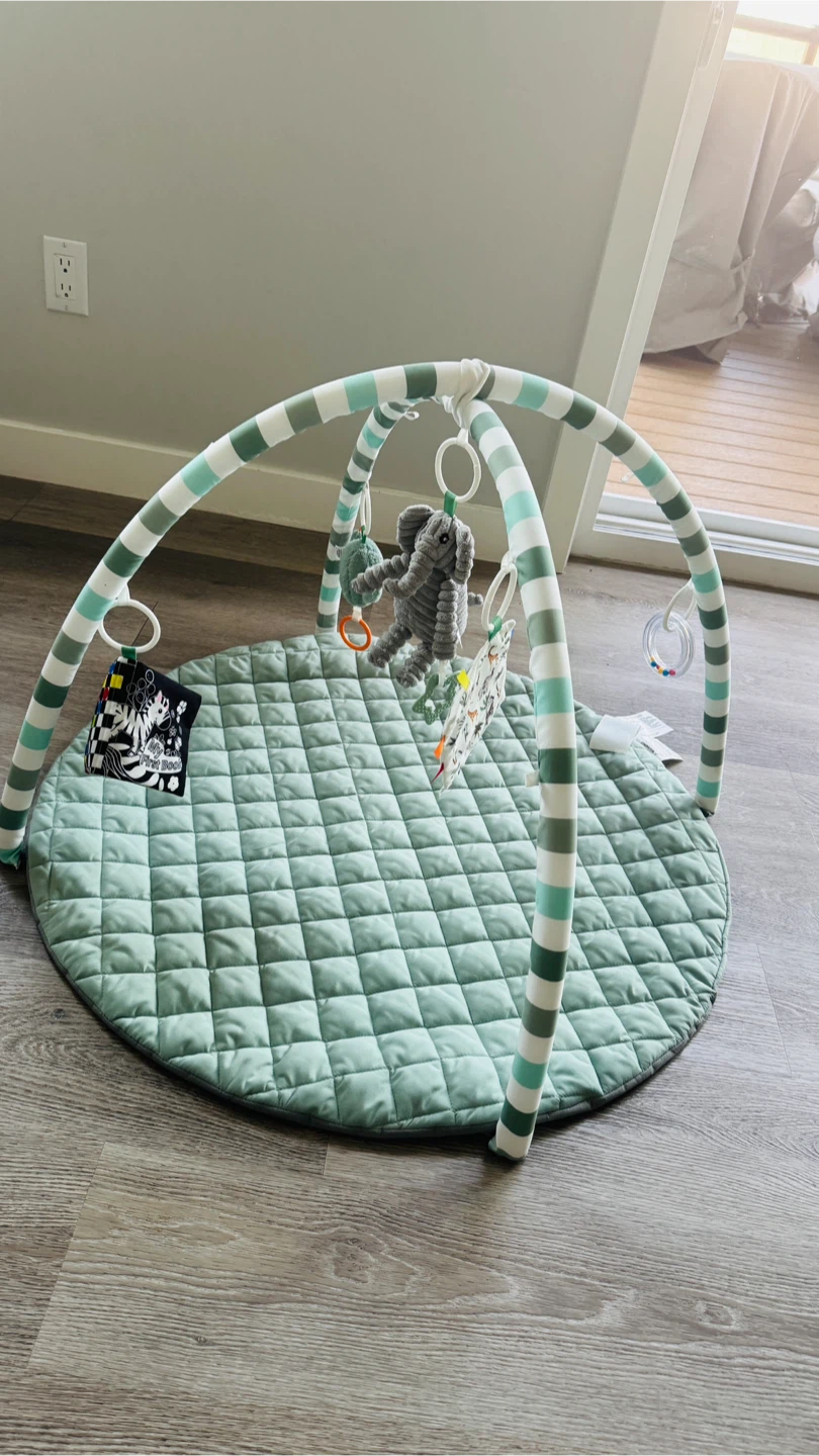 Baby Play Gym Activity Mat with Toys