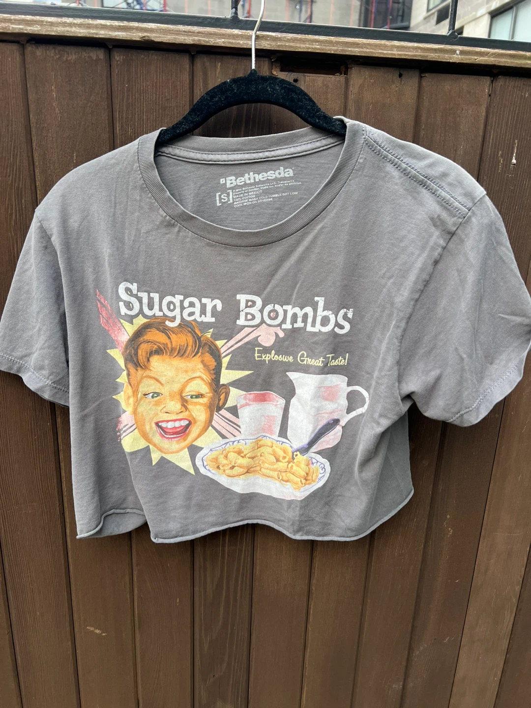 Bethesda Sugar Bombs Crop Top Gray Small