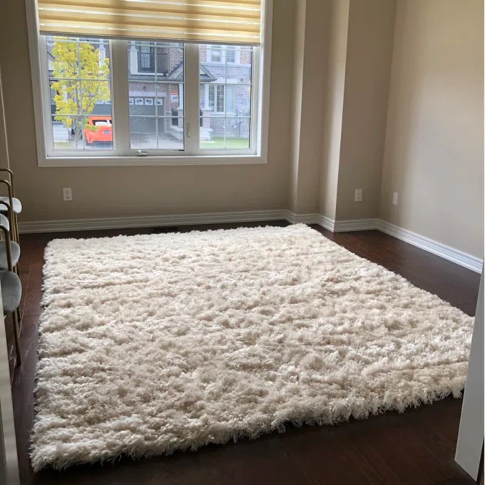 Wayfair Groover Solid Shag Area Rug, Ivory