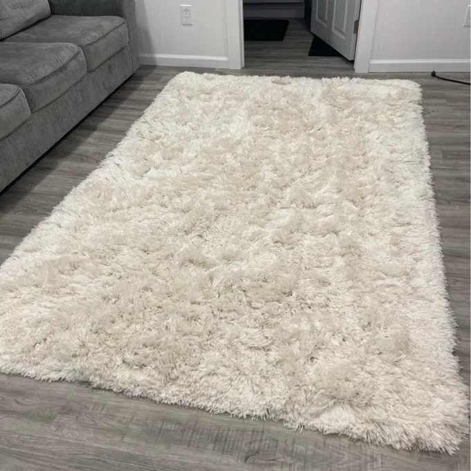 Wayfair Groover Solid Shag Area Rug, Ivory - photo 2