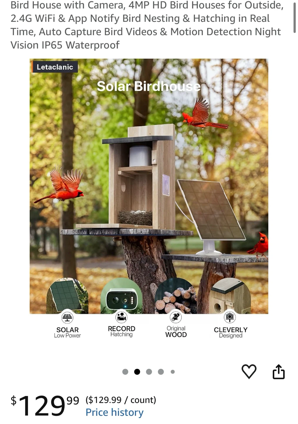 Solar Bird House with Camera