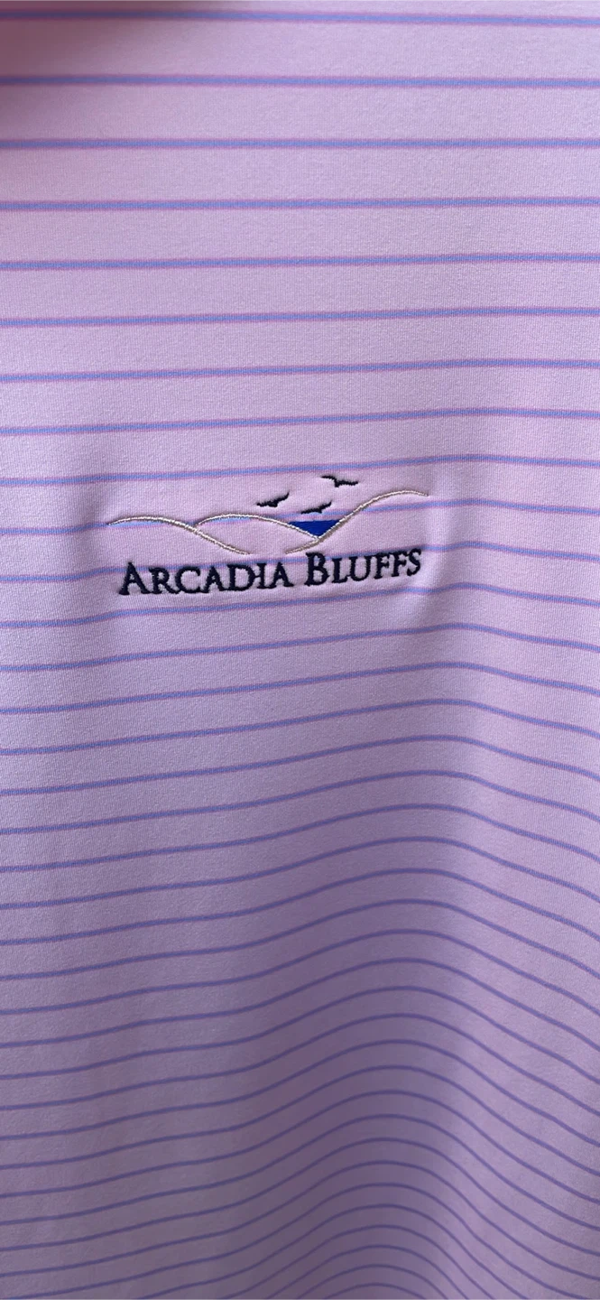 Peter Millar Golf Polo Shirt Arcadia Bluffs Size L - photo 3