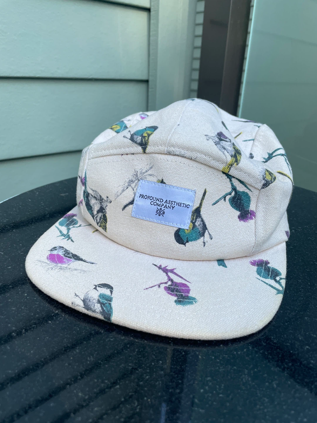 Profound Aesthetic Co Bird Print Cap hat