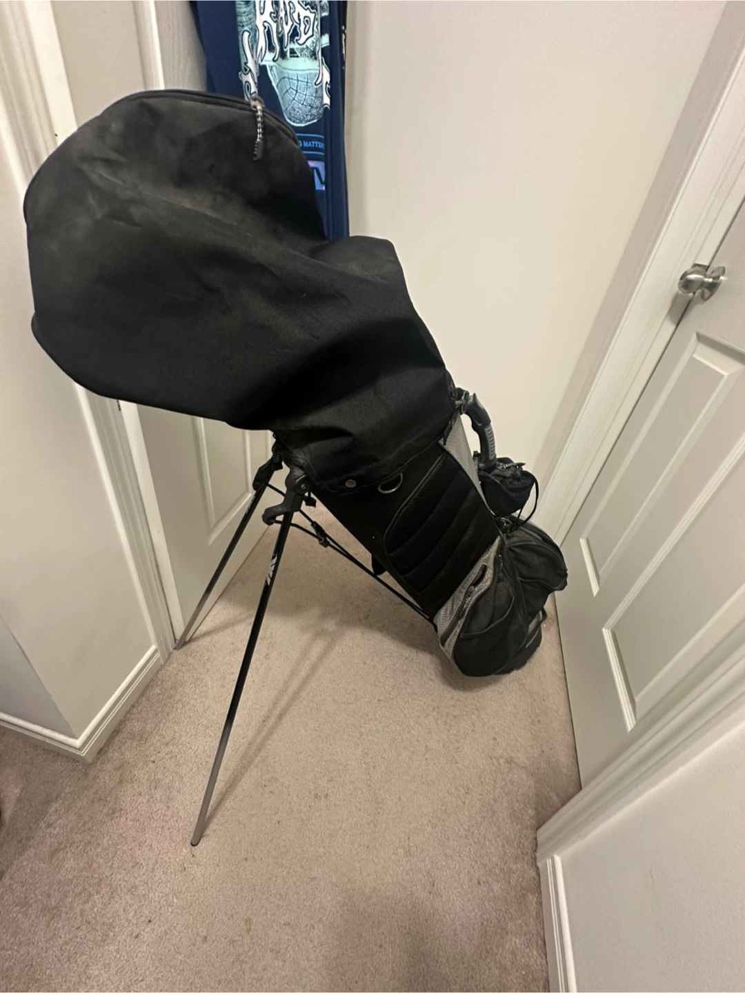 Left-Handed Golf Club Set with Stand Bag & Extra Balls - photo 3