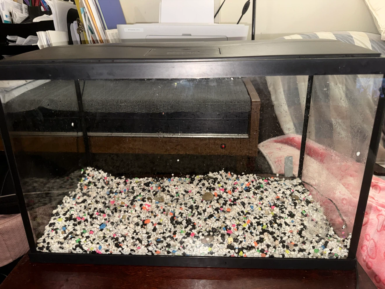 10 Gallon Glass Aquarium