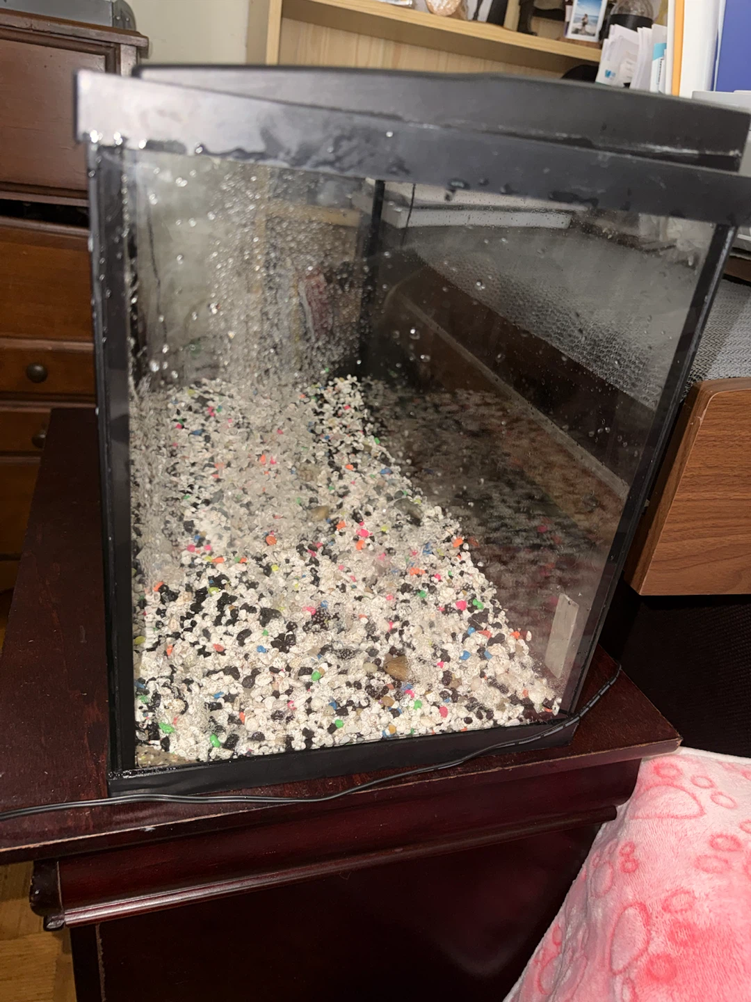 10 Gallon Glass Aquarium - photo 2