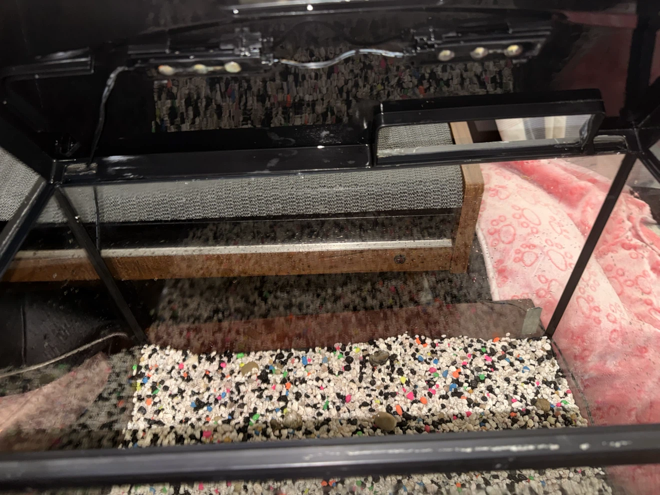 10 Gallon Glass Aquarium - photo 3