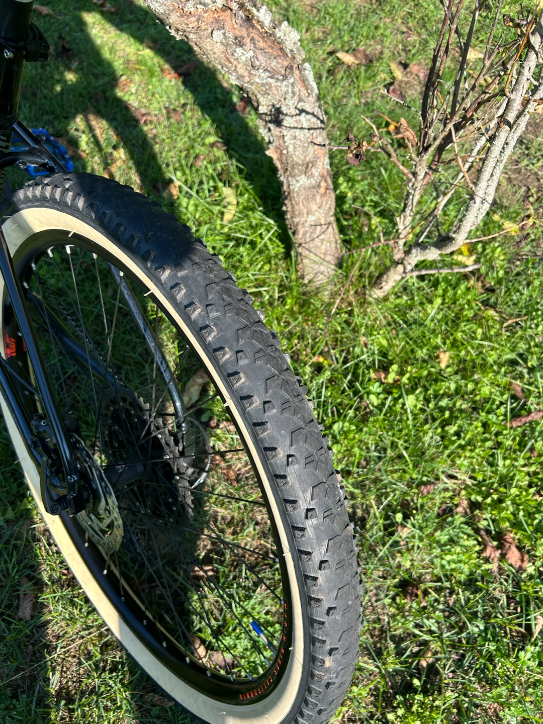 2023 Marin mountain bike - photo 4