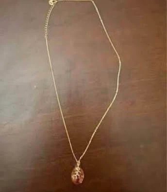 Amber earrings & Amber necklace (New) (Both together for $10) - photo 2