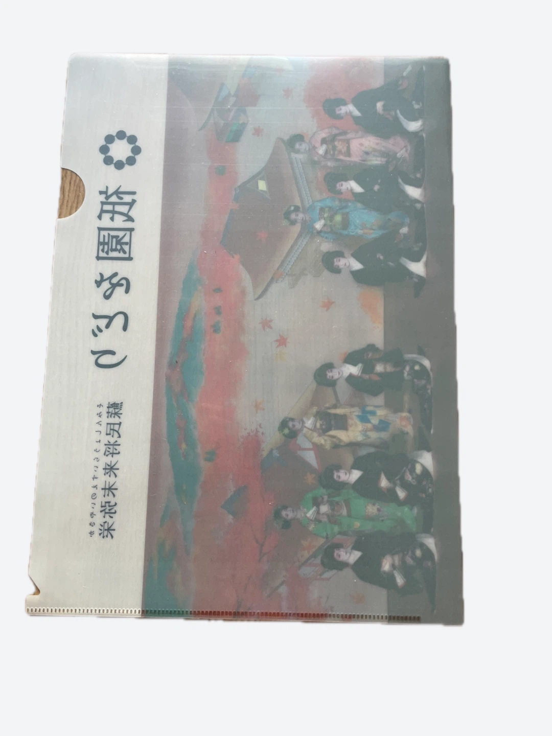 A pair of Gion Odori Japanese Geisha Clear File Folder - photo 4